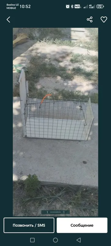 Ловушка мушуклар учун