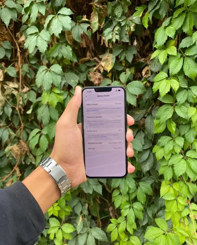 Iphone 16 e ideal 2