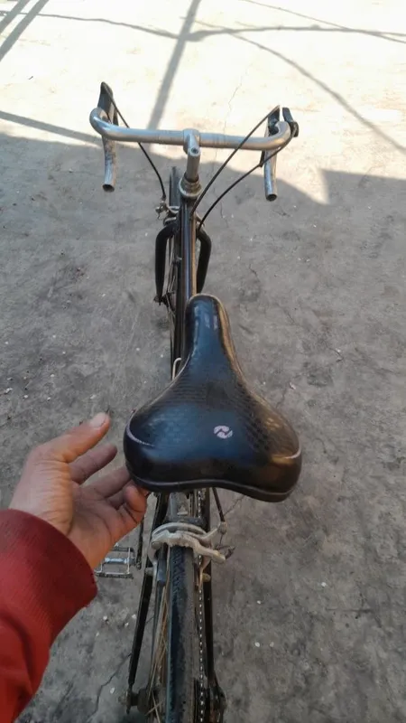 Sport velosiped — фото 1