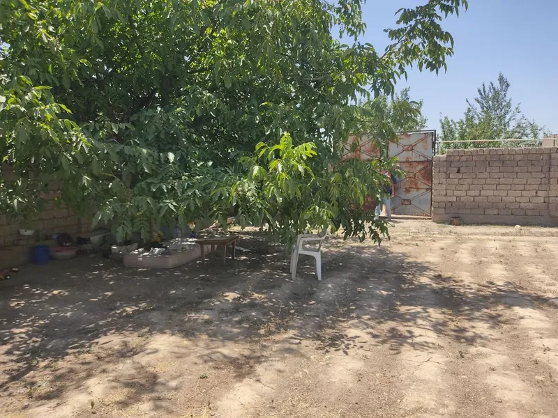 Yer sotiladi! Dacha yoki uy qurib yashash uchun juda qulay — фото 1