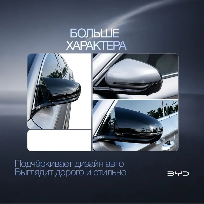 Элегантная боковая накладка для BYD Champion — фото 2