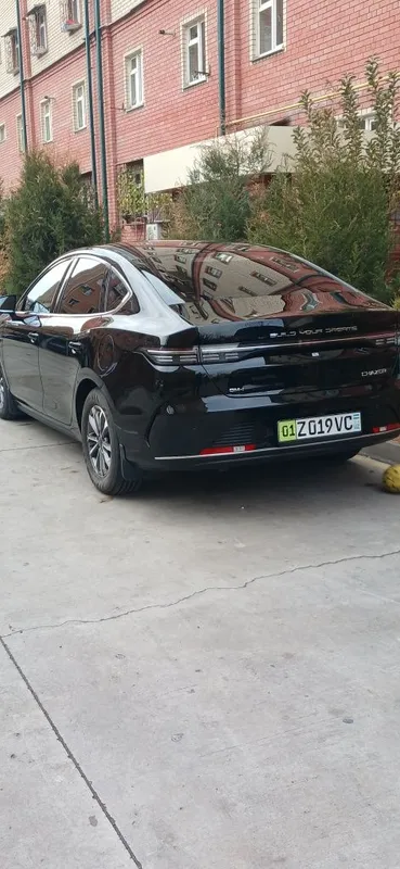 Byd Chazor 2024yil 4 Byd Chazor 2024yil 4