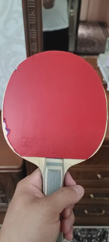 Professional nakladka 2