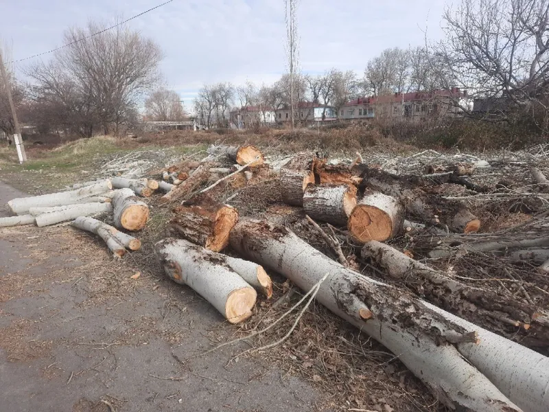 Продам тополиные дрова за 2миллиона