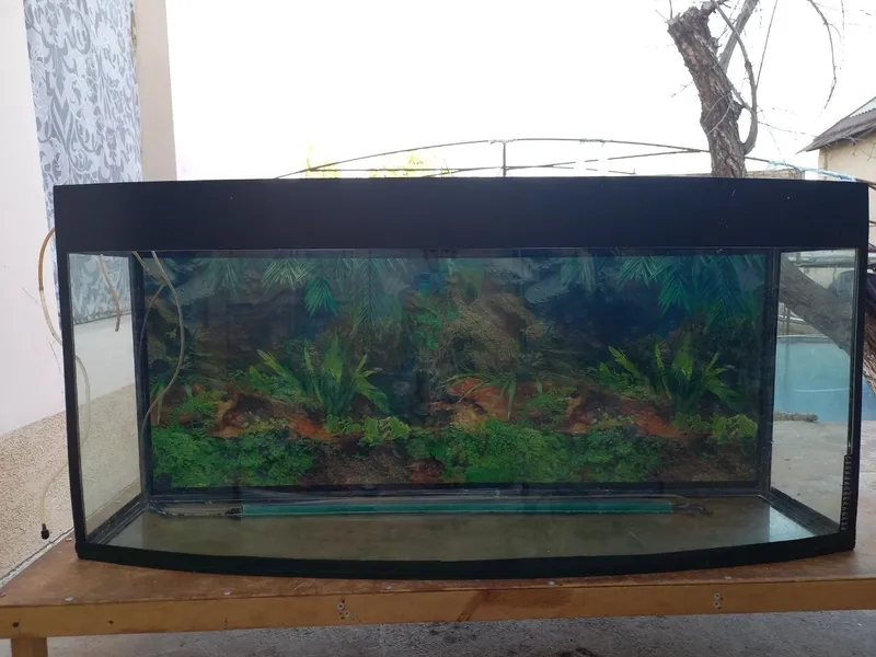 Akvarium sotiladi yaxshi ishliydi 3