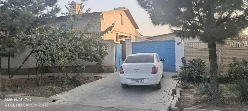 6 sotihli Kotej sotiladi 1