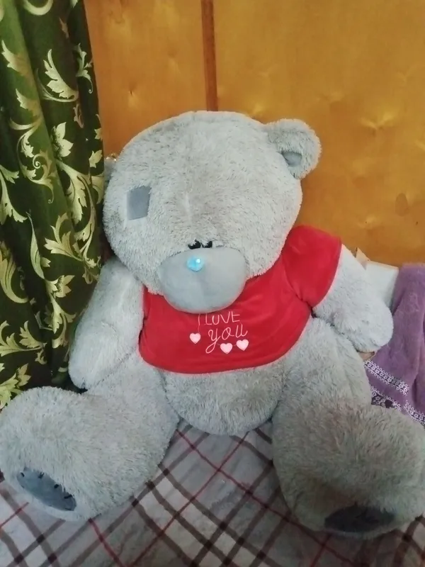 Teddy bear