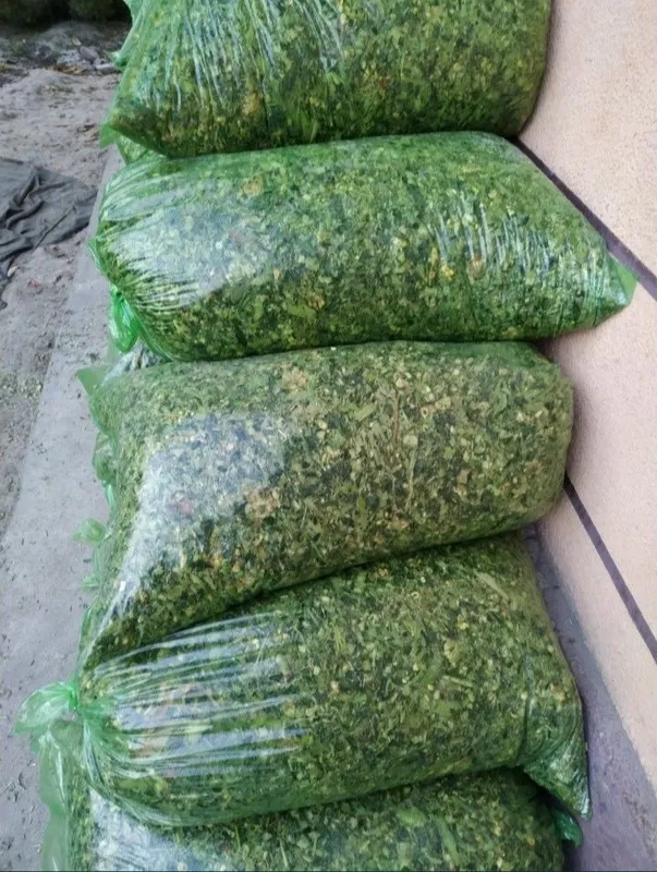 Selos optom tel qling 20.000 — фото 1