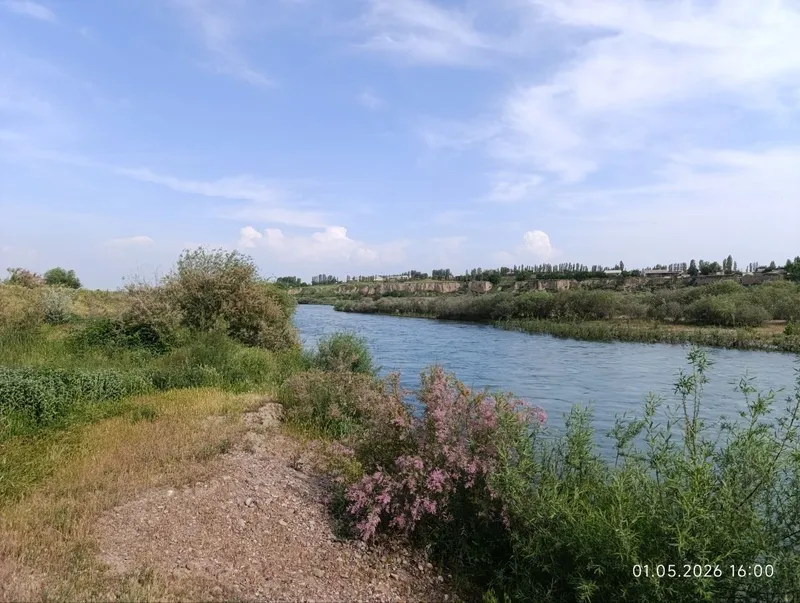 4 гектара вдоль реки на Ташморе 2
