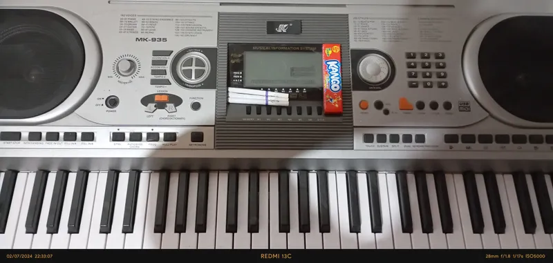 elektronik pianina elektronik pianina