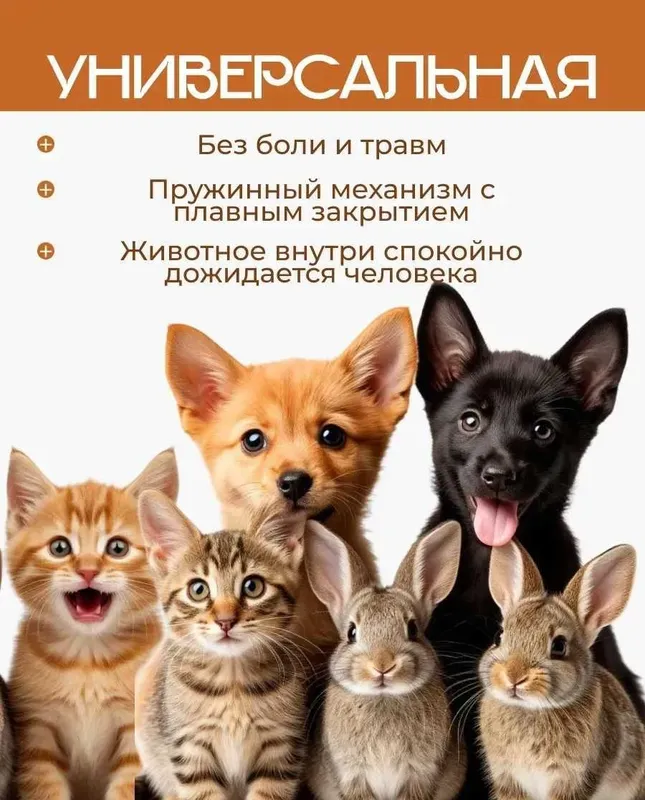 Аренда средней кошколовки — гуманная ловушка для кошек | Ташкент 6