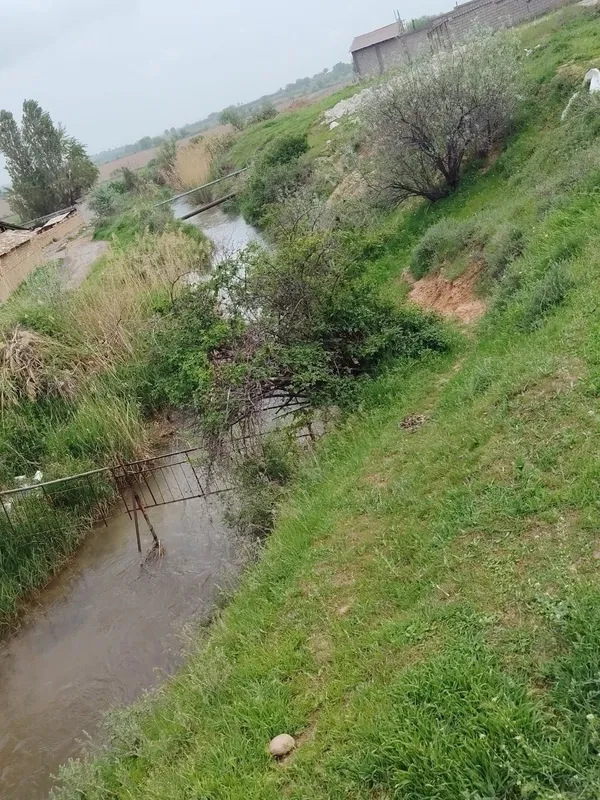 Toshkent tumani sarke mahallada yer sotiladi 3